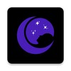 夜趣